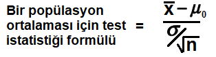 Bir popülasyon ortalaması için test istatistiği formülü