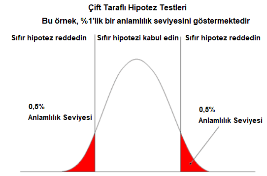 Çift taraflı hipotez testleri